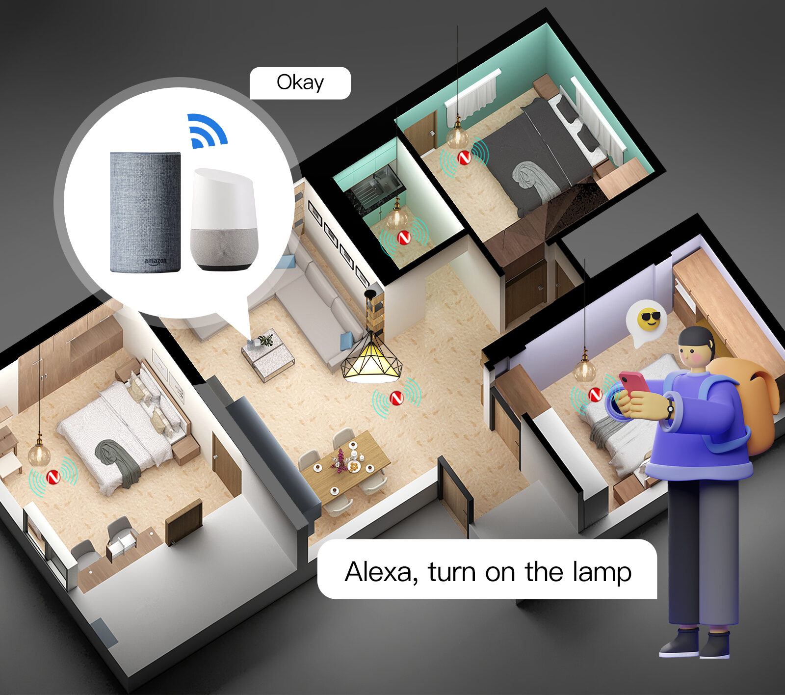 VOICE CONTROL VIA ALEXA GOOGLE HOME